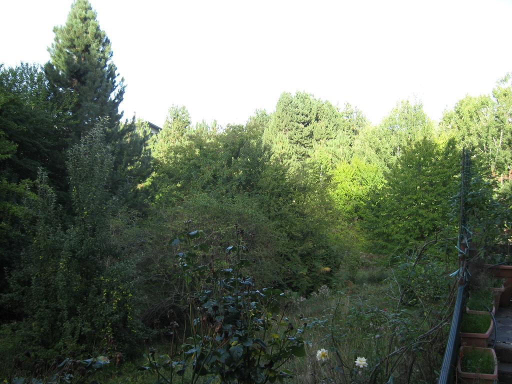 Le Tre Rose Montagna Apartamento Camigliatello Silano Quarto foto